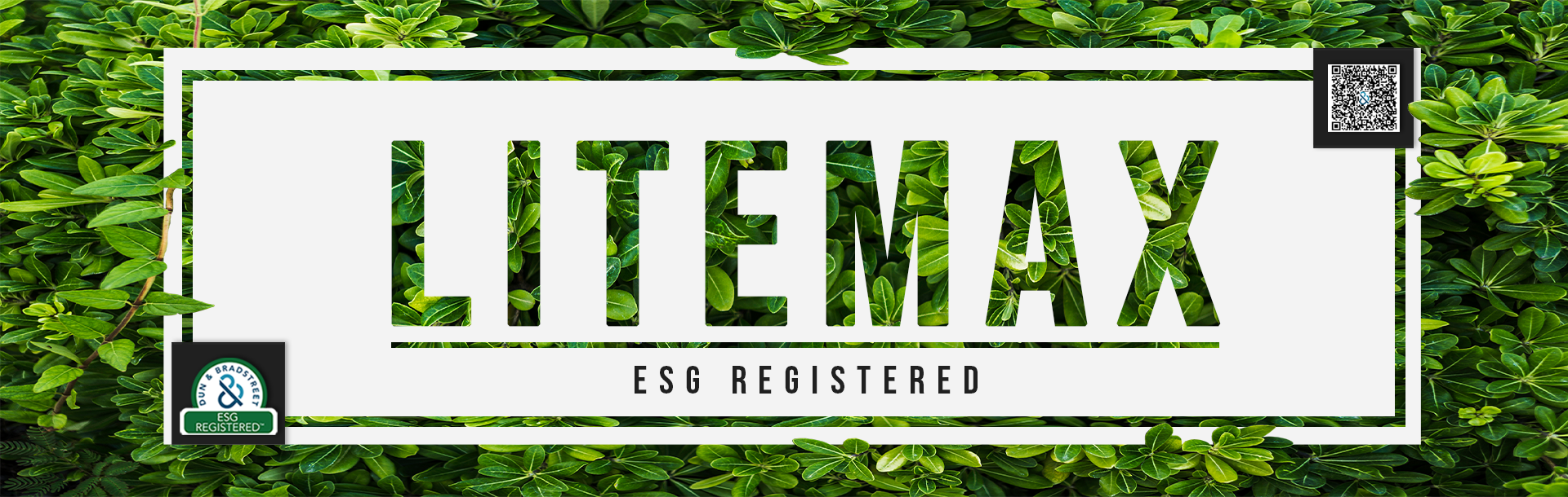 ESG