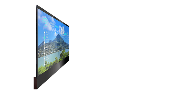 OLED Transparent Display