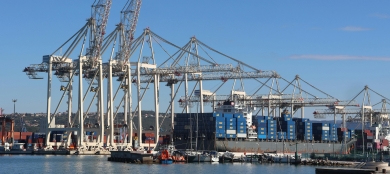 Litemax Warehouse & Logistics Solutions